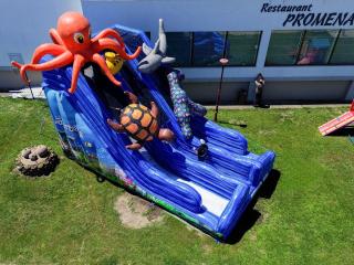 Complex Modern All Inclusive Mamaia - Mamaia - 4
