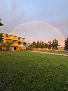 Bar & Hotel AMAXHE - Draç - 4