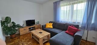 Apartments Jure - Smoljanac - 9