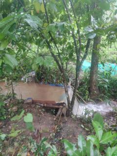 Vasudha Eco Homestay - Paithalmala - 4