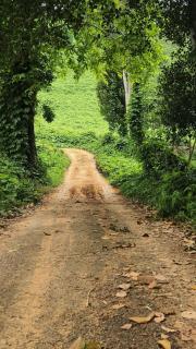 Vasudha Eco Homestay - Paithalmala - 2