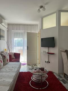 Loznica Centar Apartman - Loznica - 9
