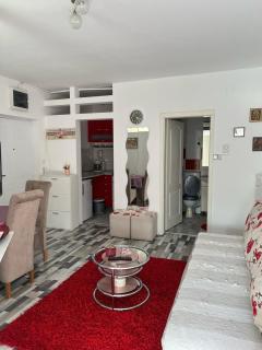 Loznica Centar Apartman - Loznica - 6