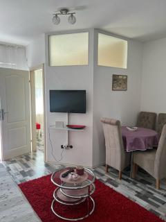 Loznica Centar Apartman - 8