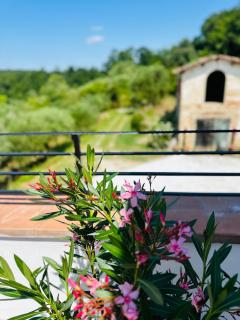 Villa Monteleone - Montefalcone - 1