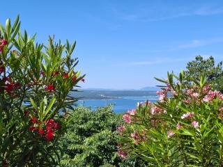 Villa Belvedere - Crikvenica (Cirquenizza) - 8