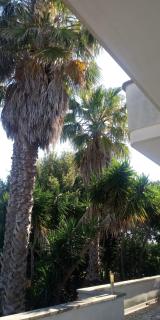 Villa Mirella - Ruffano - 0