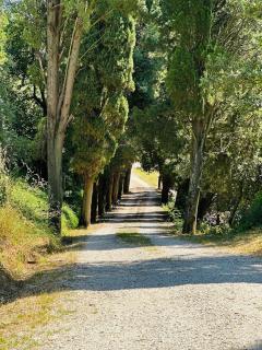 Villa Monteleone - Montefalcone - 5