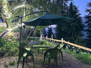 The Woodnest - 8