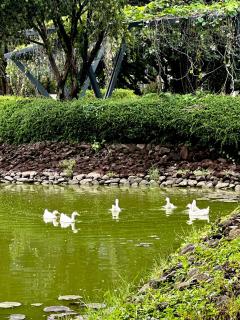 Pico De Loro 2BR - 3