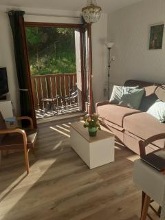 Petit nid douillet , T1 avec cuisine indépendante, au calme, proche centre ville - Bagnères-de-Luchon - 0