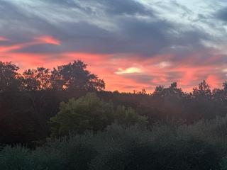 Villa Monteleone - Montefalcone - 2