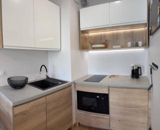 Apartament Omega with free parking - Poznan - 0