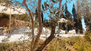 Villa Monteleone - Montefalcone - 6