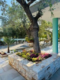 Danielli Luxury Villas - Skala Rachoniou - 1