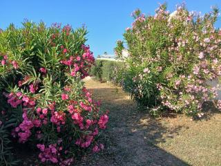 Seafront, 3 Bedrooms with the Best Sea View - St. Paul's Bay - 4