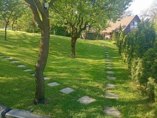 Pensiunea Verde - Baia-Sprie - 3