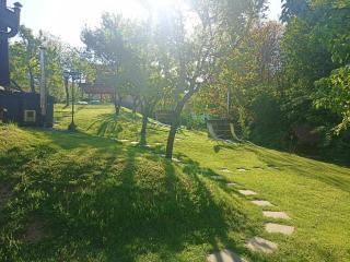 Pensiunea Verde - Baia-Sprie - 4