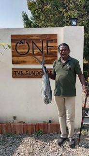 AT ONE - Glamping - Tangalle - 1