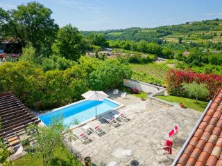 Villa Samanta with Private Pool & Vineyard Views - 8