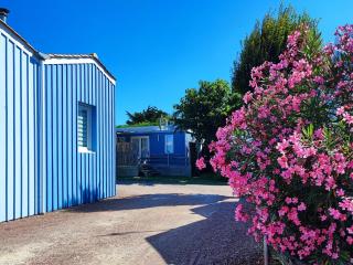 Camping le Sabia - Saint-Denis-dʼOléron - 3