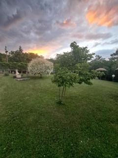 Dušanovac - 6