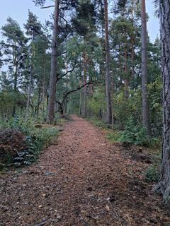 Rantasauna, Villa Mainiemi - Hämeenlinna - 9