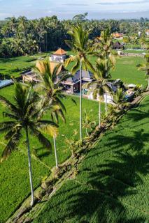 Jasmine Serenity Ricefield Sunrise View #2 - Ubud - 5