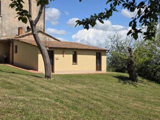Agriturismo Collina degli Ulivi - Sarteano - 3
