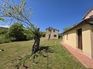 Agriturismo Collina degli Ulivi - Sarteano - 1