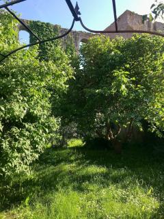Pearl by the Botanical Garden - Visby - 6