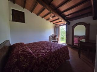 Agriturismo Collina degli Ulivi - Sarteano - 4