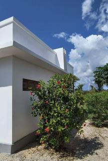 Afro Kendwa Suites - - 6