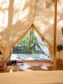 Glamping Visingsö - Visingsö - 9
