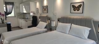 Billys rooms 2 - Kriopigi - 5