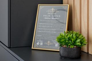 FELIX LOTUS - DeLuxe Residence - Baile Felix - 3