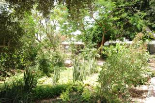 Almog Hotel - Almog - 9