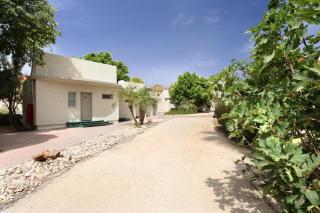 Almog Hotel - Almog - 1