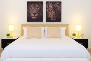 3BR Glebe Retro Jungle Escape Near Darling Harbour - Sydney - 8