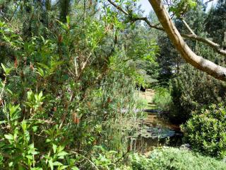 Attractive holiday home in Ahlbeck with terrace - Ahlbeck - 4
