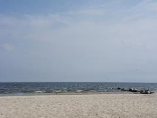 Attractive holiday home in Ahlbeck with terrace - Ahlbeck - 3