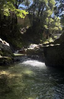 OSAKA GUEST HOUSE つながる旅の宿-en house- - - 2