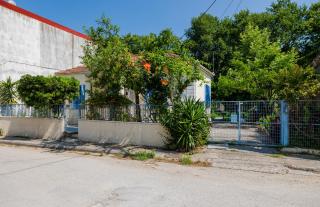 Drosostalides - Milína - 7