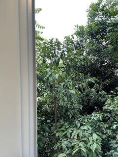 Chez Zaynou - 6