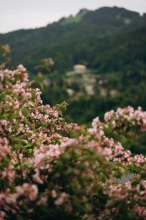Micro-lodge, Le Petit Nid d'Amour - Montriond - 5