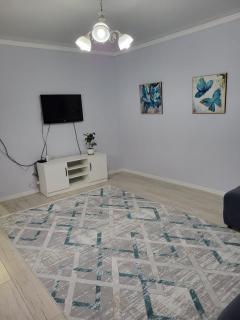 Квартира со всеми удобствами - Almaty - 1
