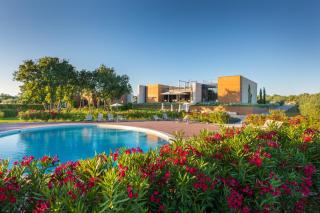 Papafigo Camping - Vodnjan (Dignano) - 8