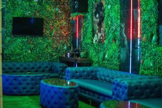 Green Mansion - Domneşti - 6