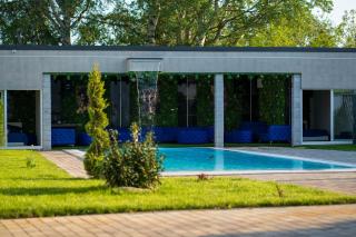 Green Mansion - Domneşti - 0