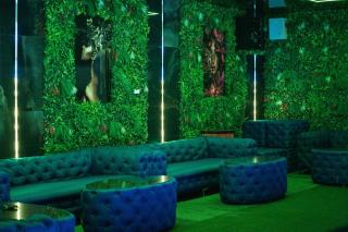 Green Mansion - Domneşti - 3